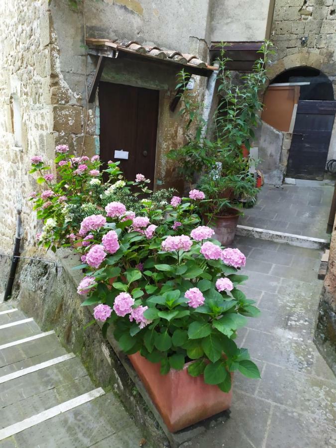 Apartamento Mozzafiato Pitigliano Exterior foto